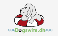 Dog Swim