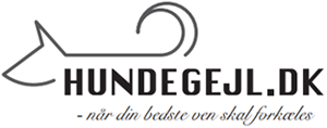 Hundegejl