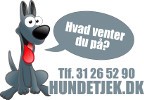 Hundetjek